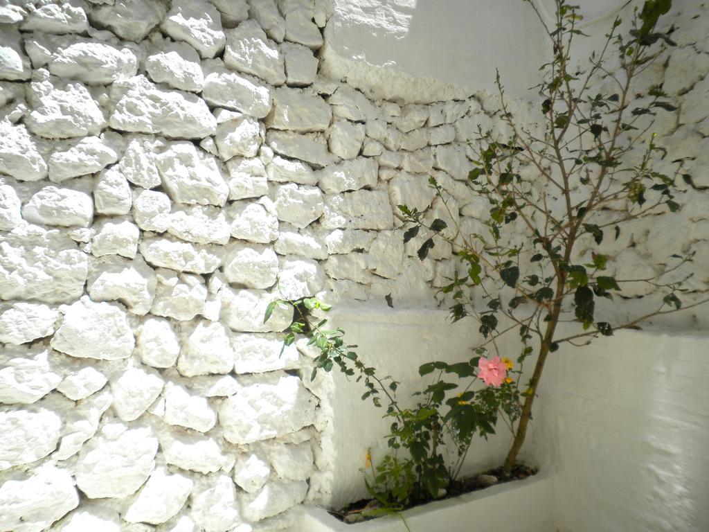 Kostas Studios II Vasiliki  Bagian luar foto